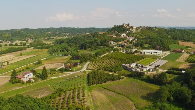 Castellero | Sagra della Nocciola - edizione 2020